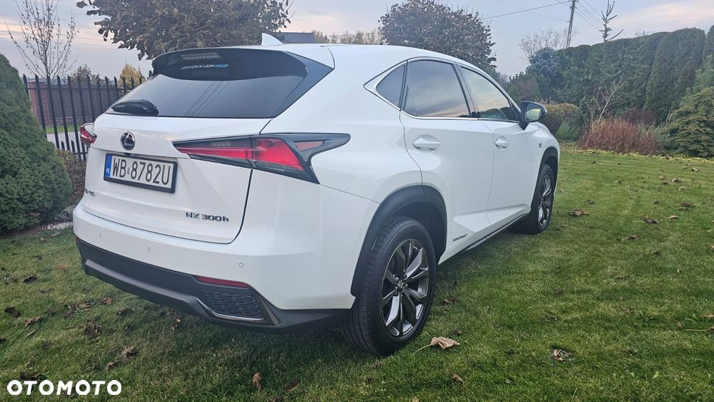 Lexus NX 300h F Sport Edition AWD - 12