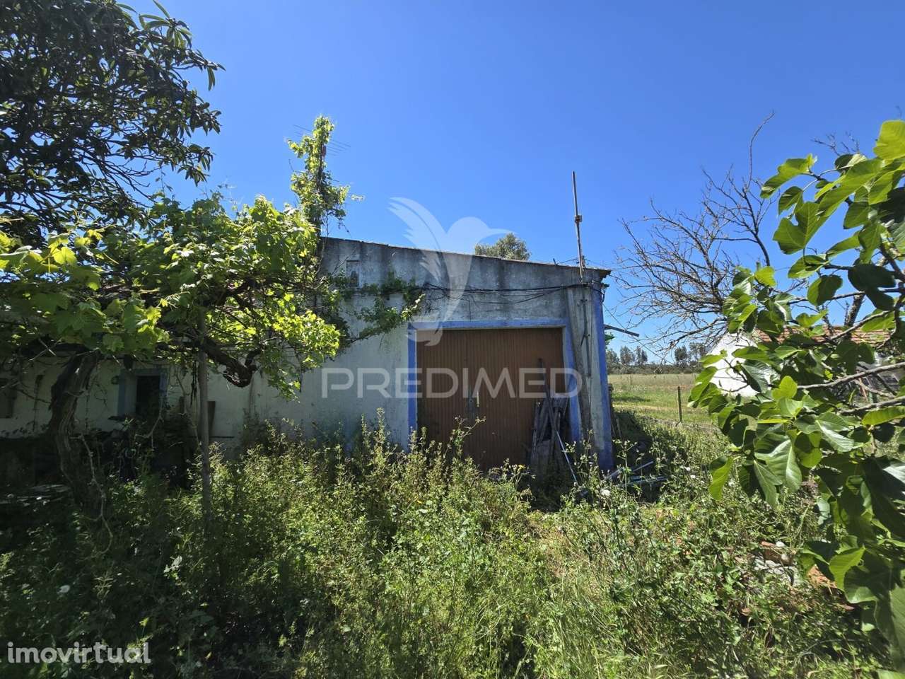 Casa Típica para Recuperar - Grândola - Grande imagem: 3/39