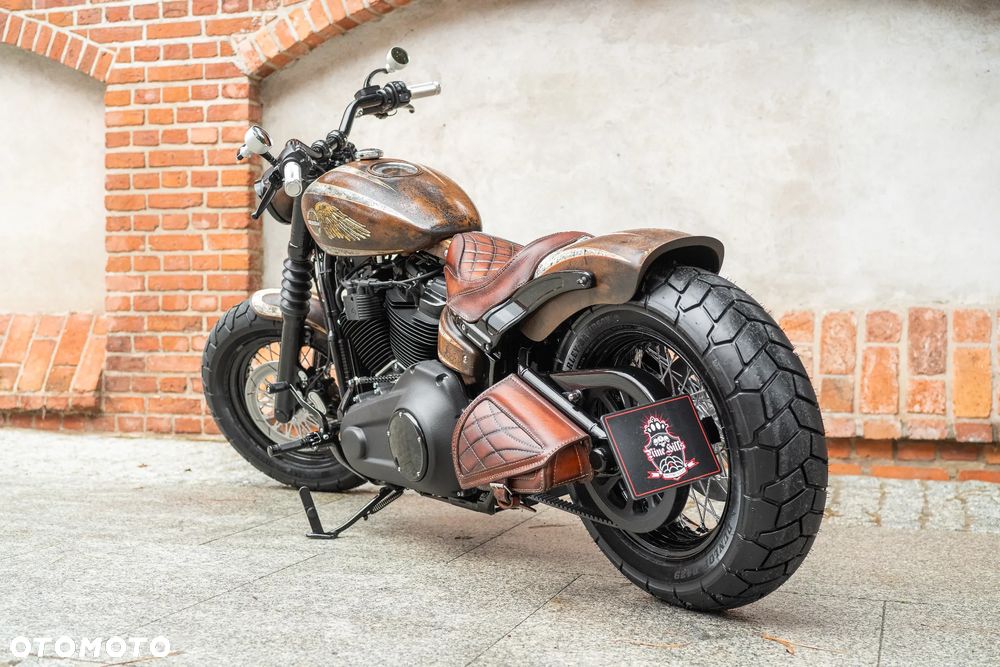 Harley-Davidson Softail - 6