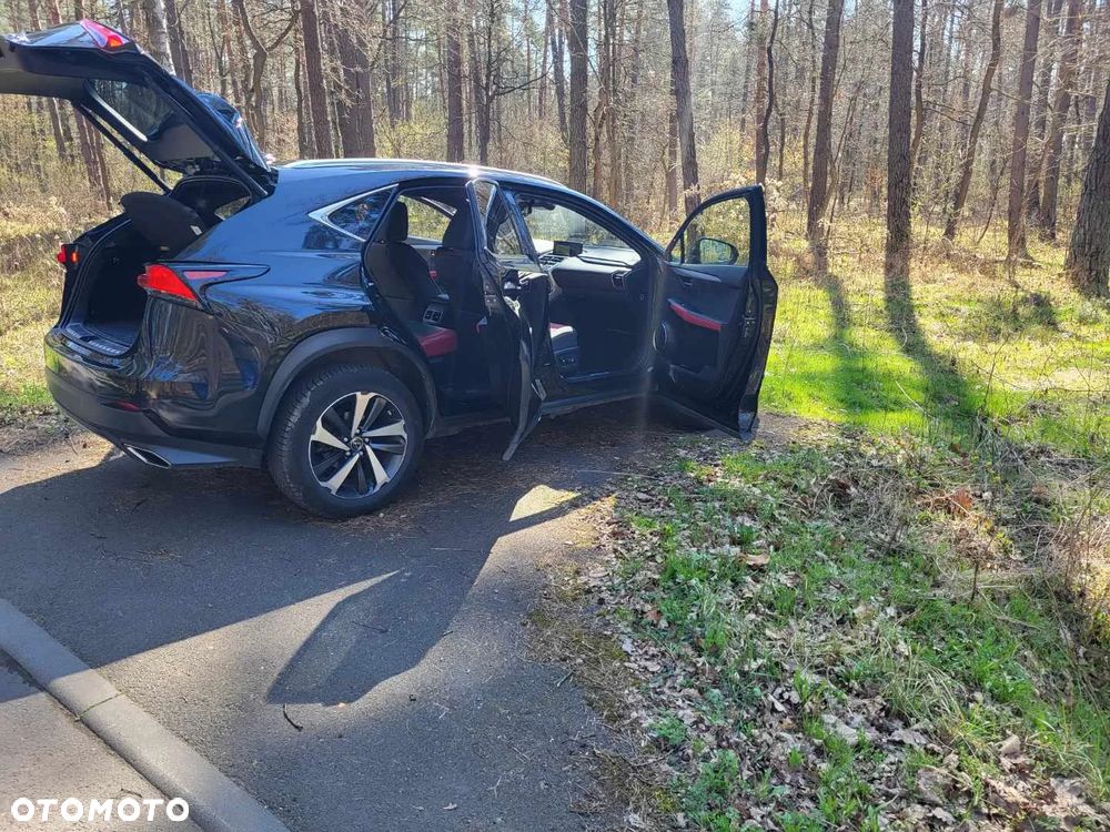 Lexus NX 300 GPF F Sport AWD - 14