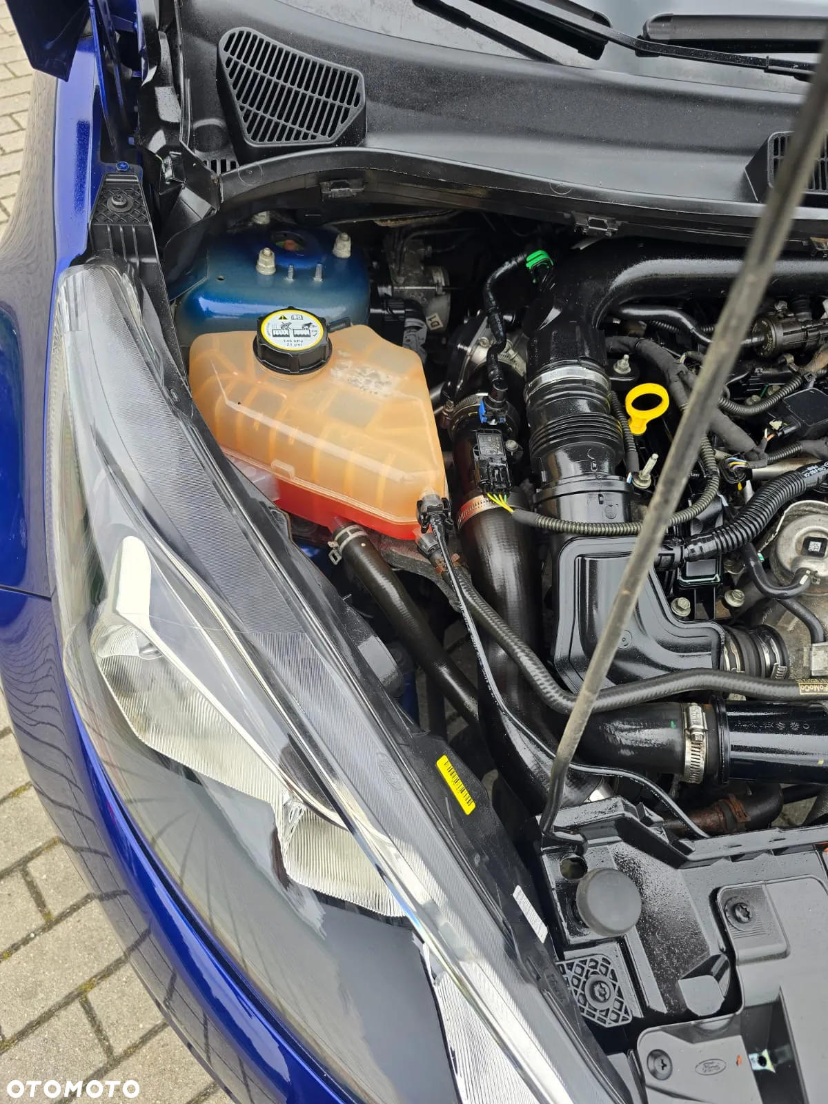 Ford Fiesta 1.0 EcoBoost Hybrid S&S ACTIVE - 23