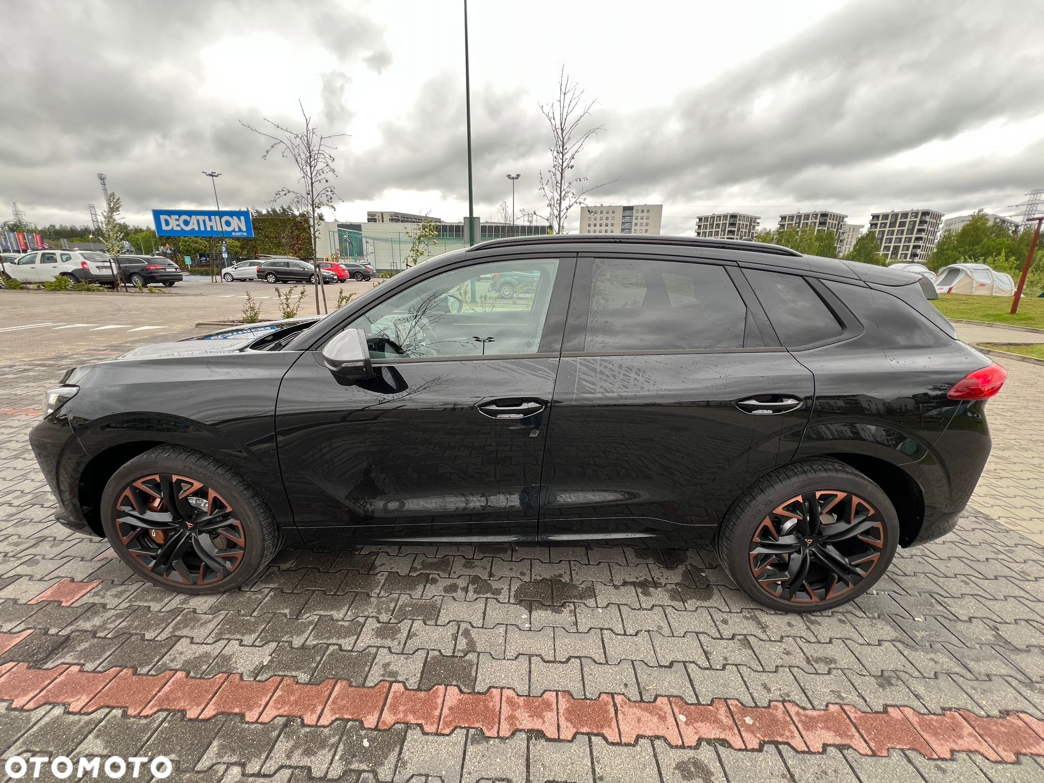 Cupra Terramar 2.0 TSI 4Drive VZ DSG - 5
