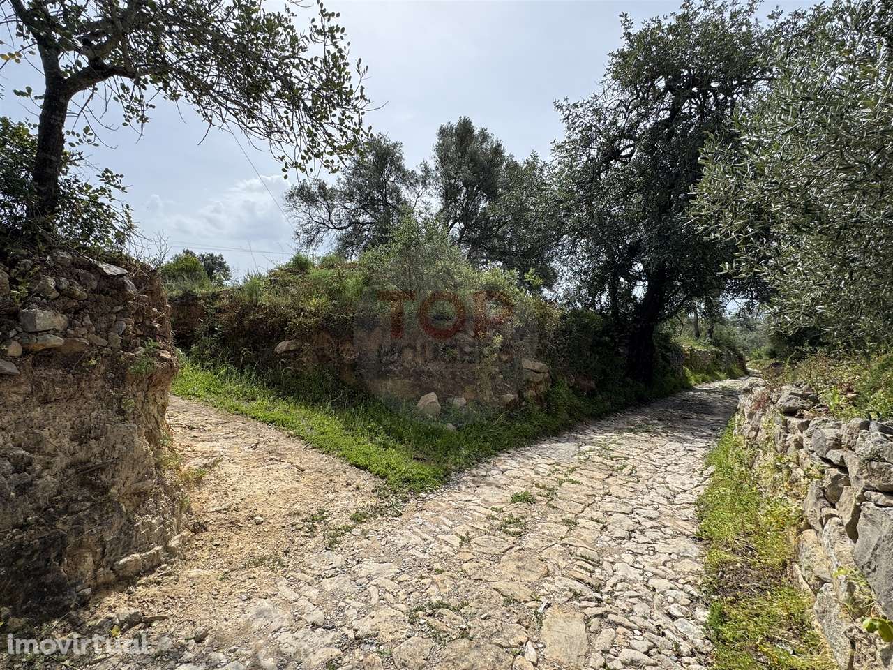 Terreno Rustico - Grande imagem: 4/11