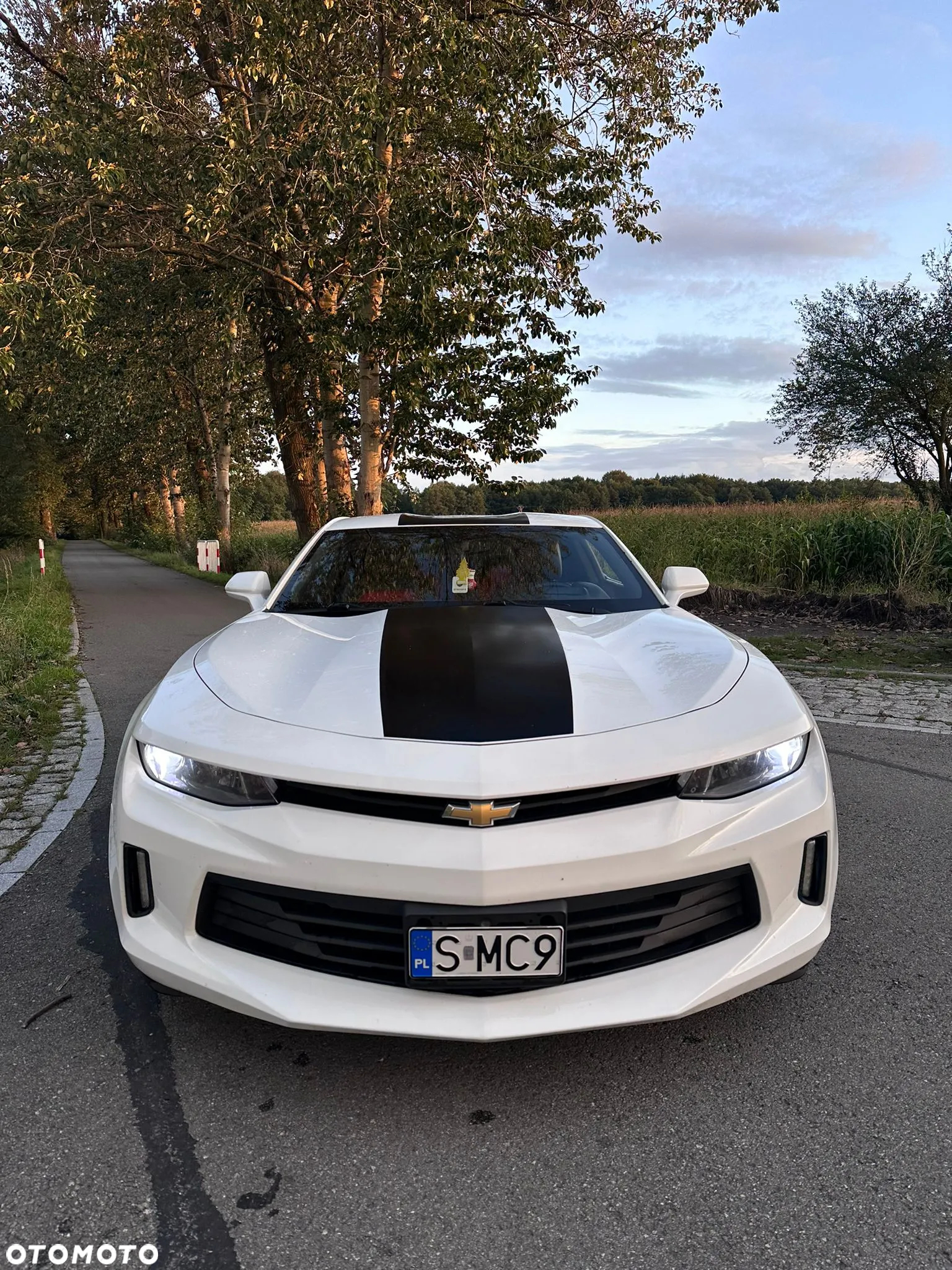 Chevrolet Camaro 3.6 V6 Coupe 2LT - 3