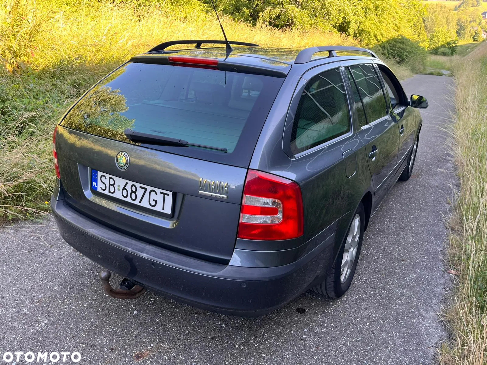 Skoda Octavia Combi 1.9 TDI DSG Elegance - 3