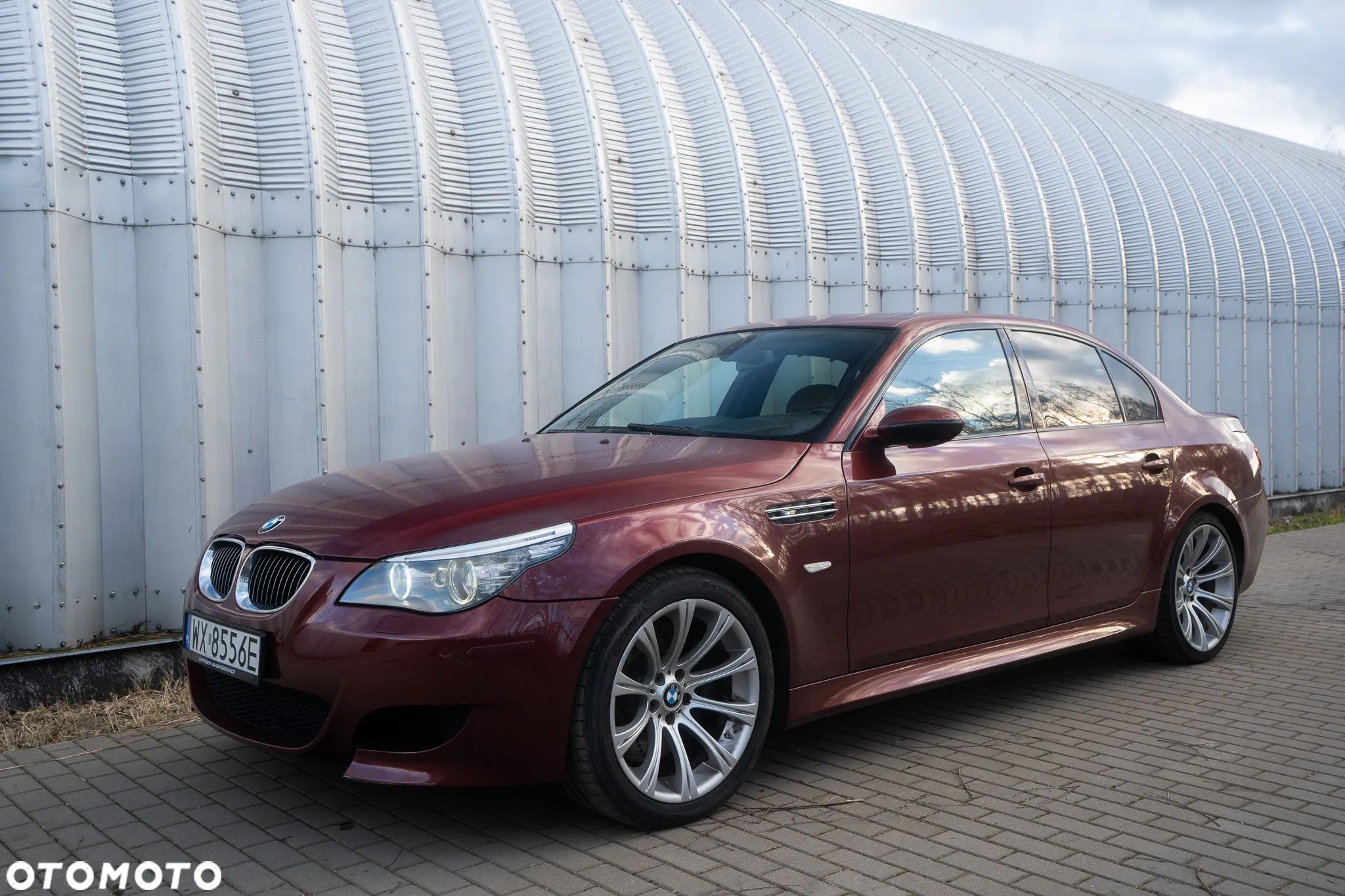 BMW M5 Standard - 1