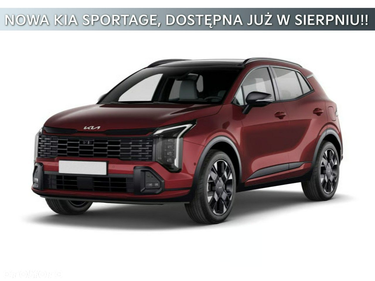 Kia Sportage - 1