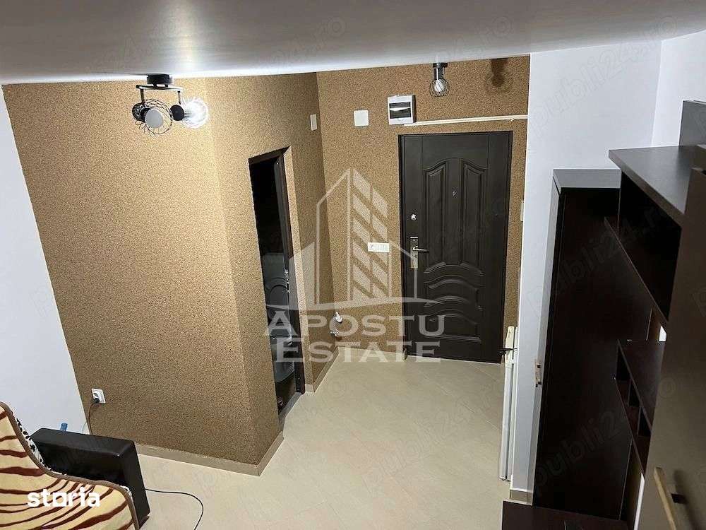 Apartament 1 camera de inchiriat, Dambovita, Timis — fotografia 3