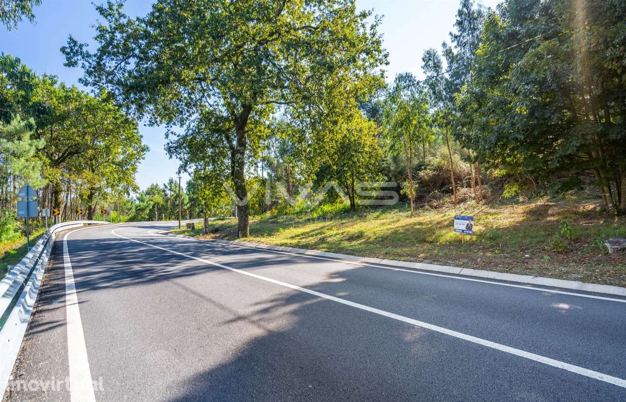 Terreno Rústico  Venda em Pico,Vila Verde - Grande imagem: 5/21