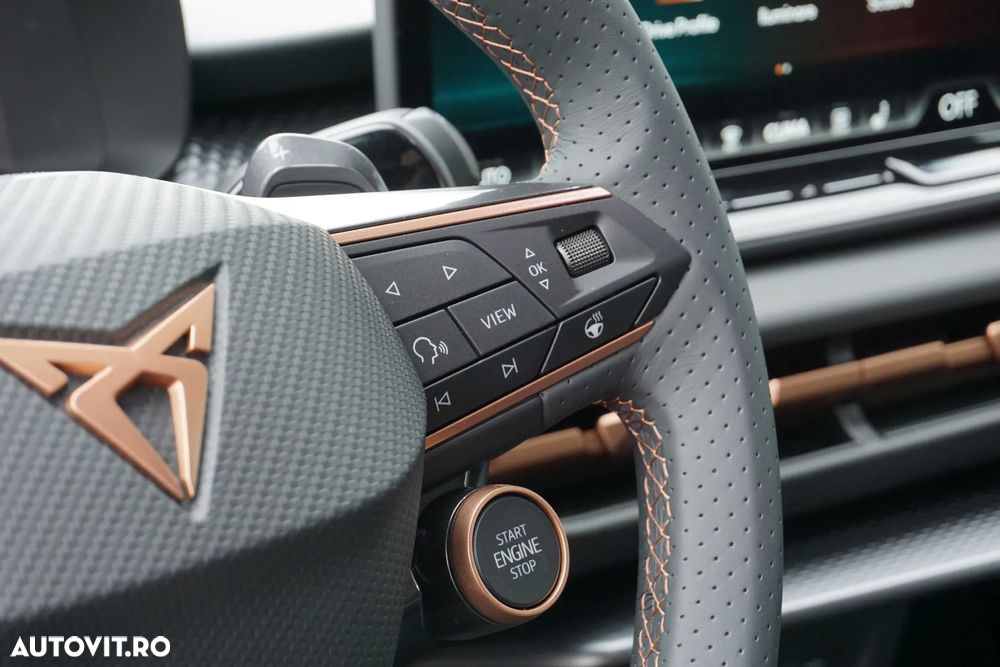 Cupra Terramar - 20
