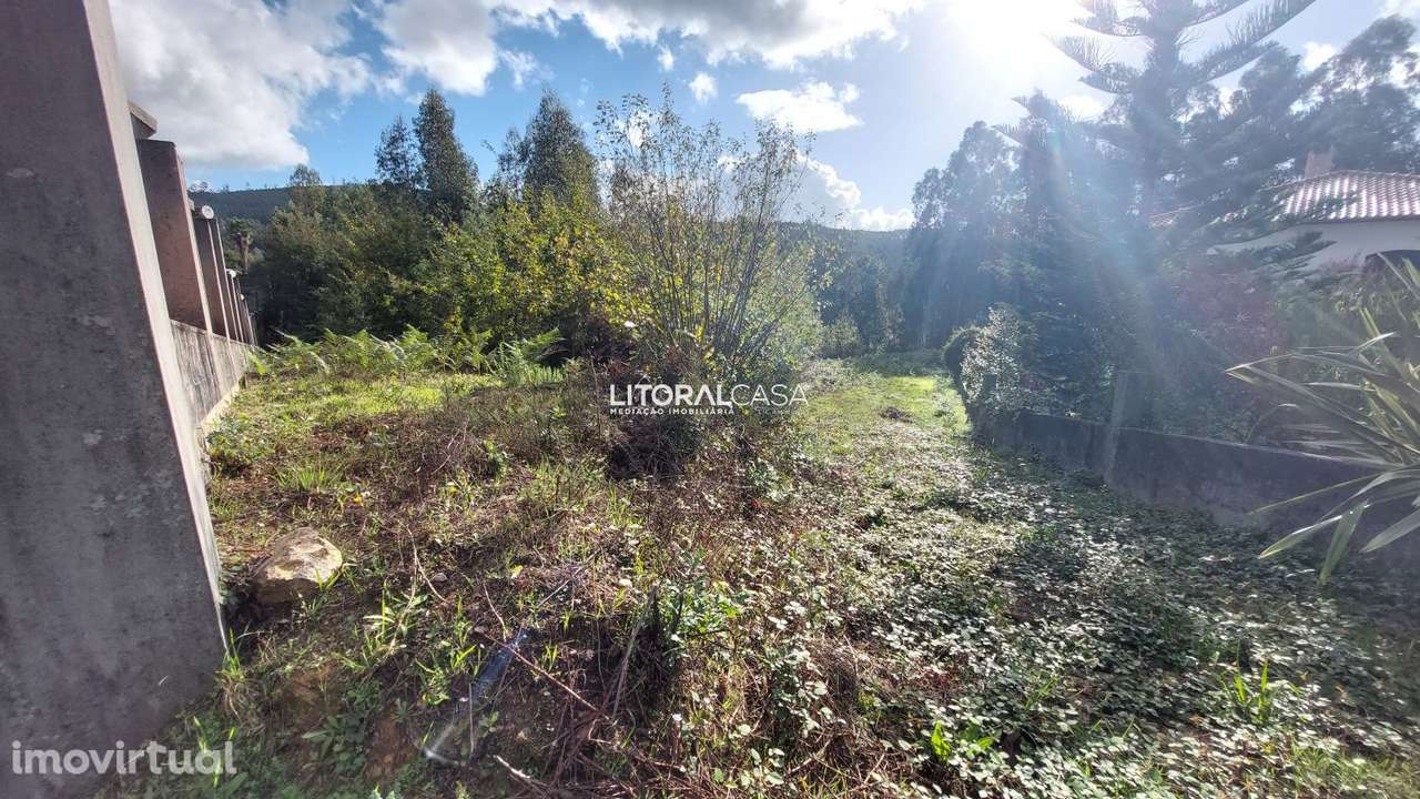 Terreno | Carrazedo do Vouga - Grande imagem: 3/8