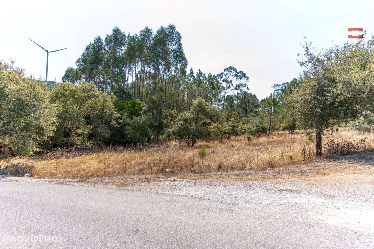 Terreno Rústico junto à estrada em Barreiro Grande, S. Mamede - Grande imagem: 3/11