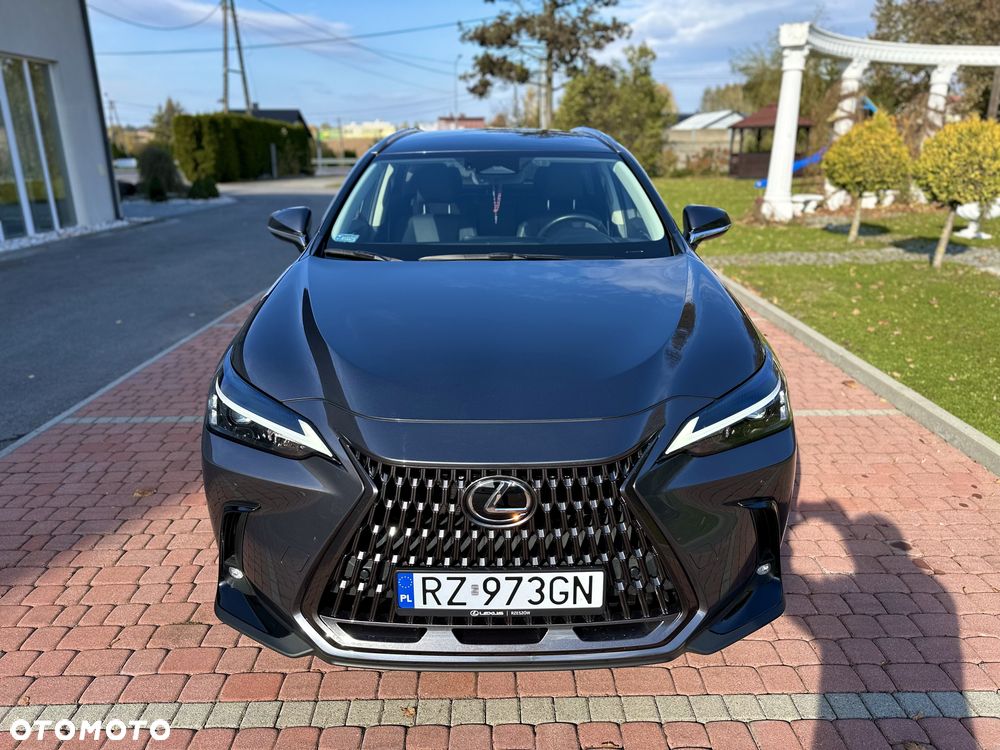 Lexus NX 350h Prestige 2WD - 8