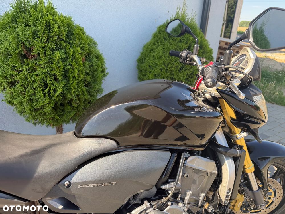 Honda Hornet - 24
