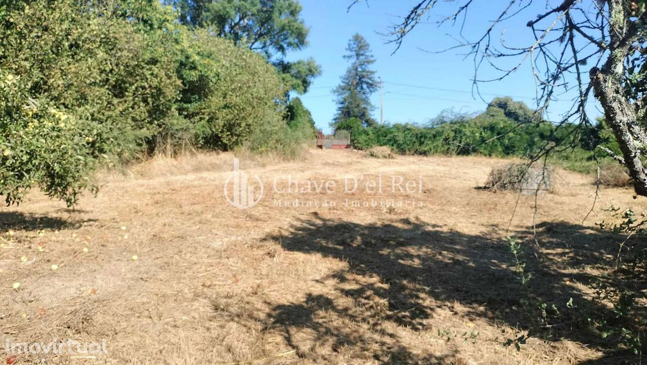 Terreno Para Construção  Venda em Vilar de Besteiros e Mosteiro de Frá - Grande imagem: 3/11