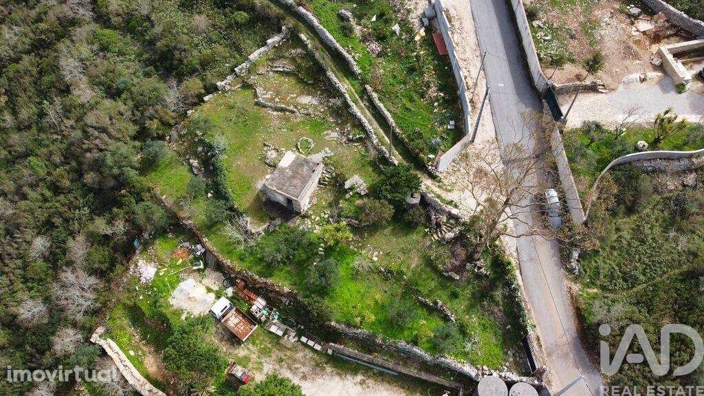 Casa de Campo em Reguengo do Fetal - Grande imagem: 5/22