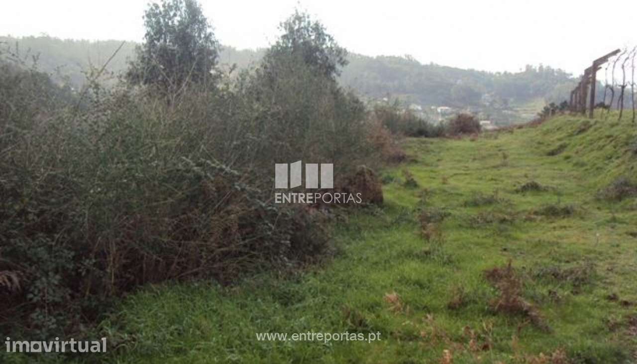 Venda Terreno, junto à estrada, Tabuado, Marco de Canaveses - Grande imagem: 5/8