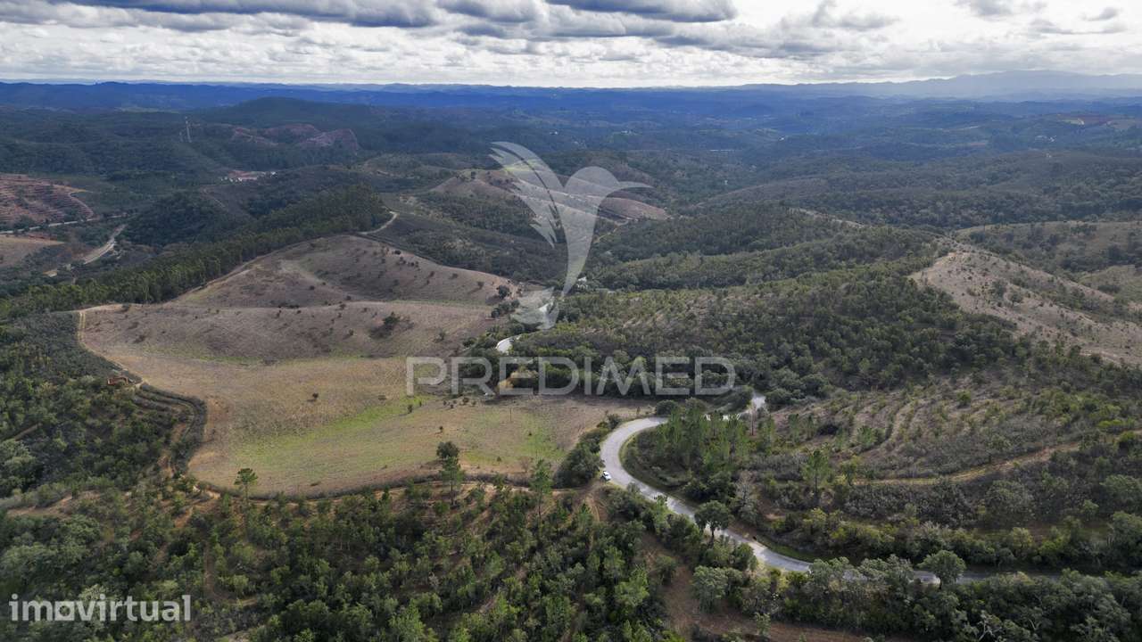 Herdade em Luzianes Gare com 57,2250 hectares e duas ruínas - Grande imagem: 3/30