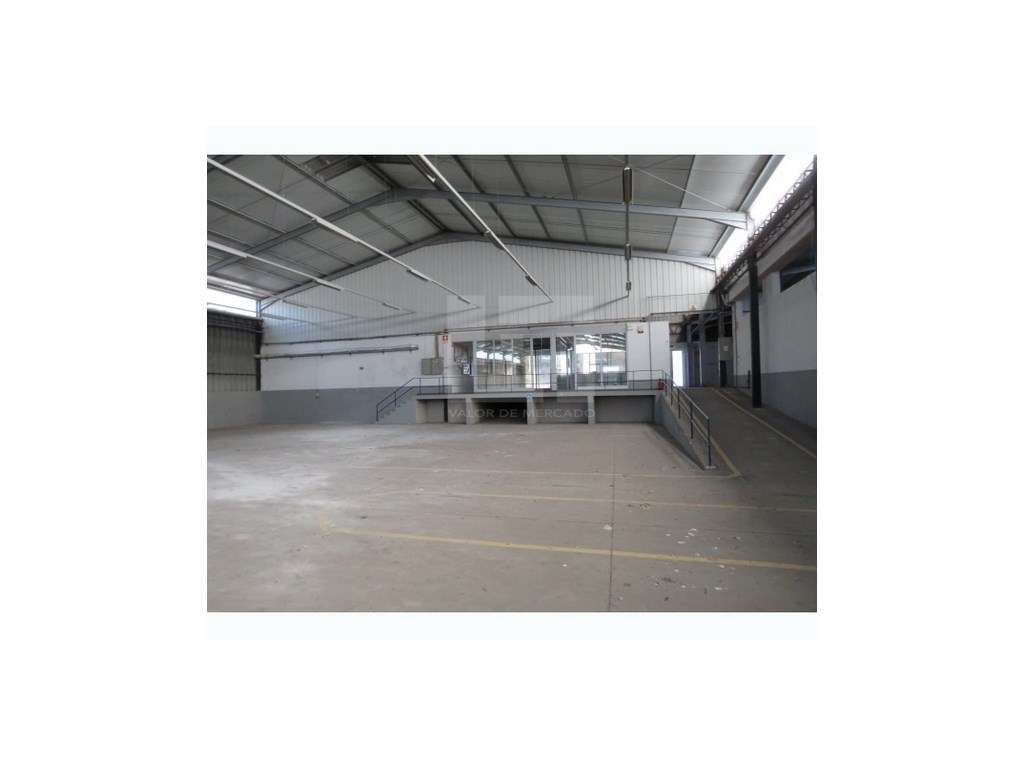 Armazém e Salvaterra de Magos-Muge - Grande imagem: 3/7