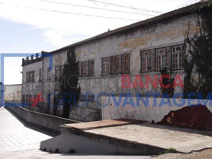 Externato, para venda, Nelas - Nelas - Grande imagem: 4/7