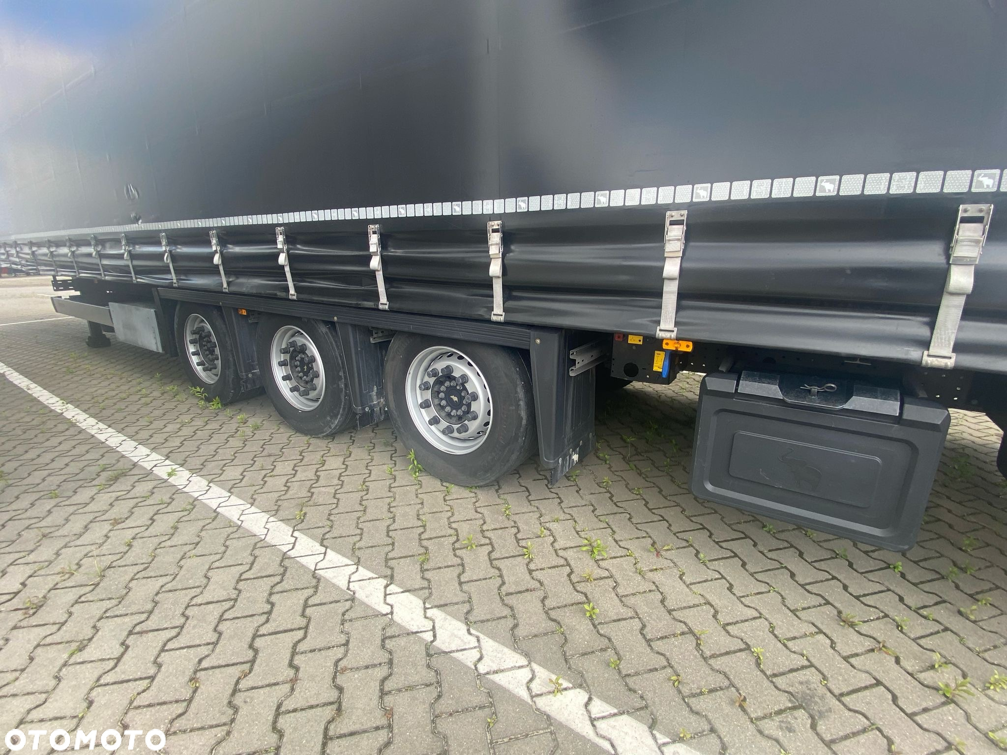 Schmitz Cargobull - - 7