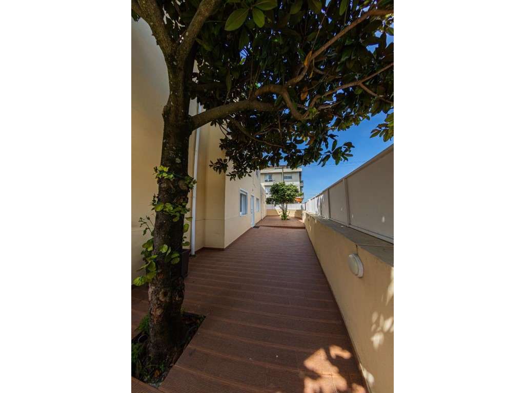 Andar Moradia T3 - Boavista - Grande imagem: 4/20