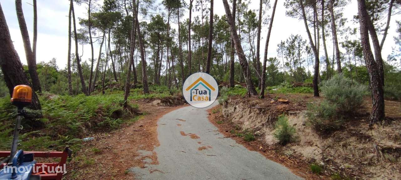 Terreno Rústico em Aguiar da Beira - Grande imagem: 3/21