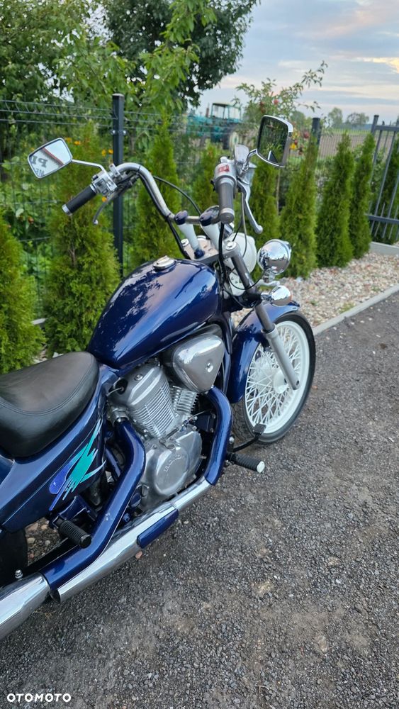 Honda Shadow - 7