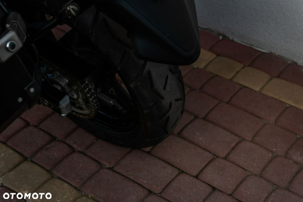 Suzuki DL - 10