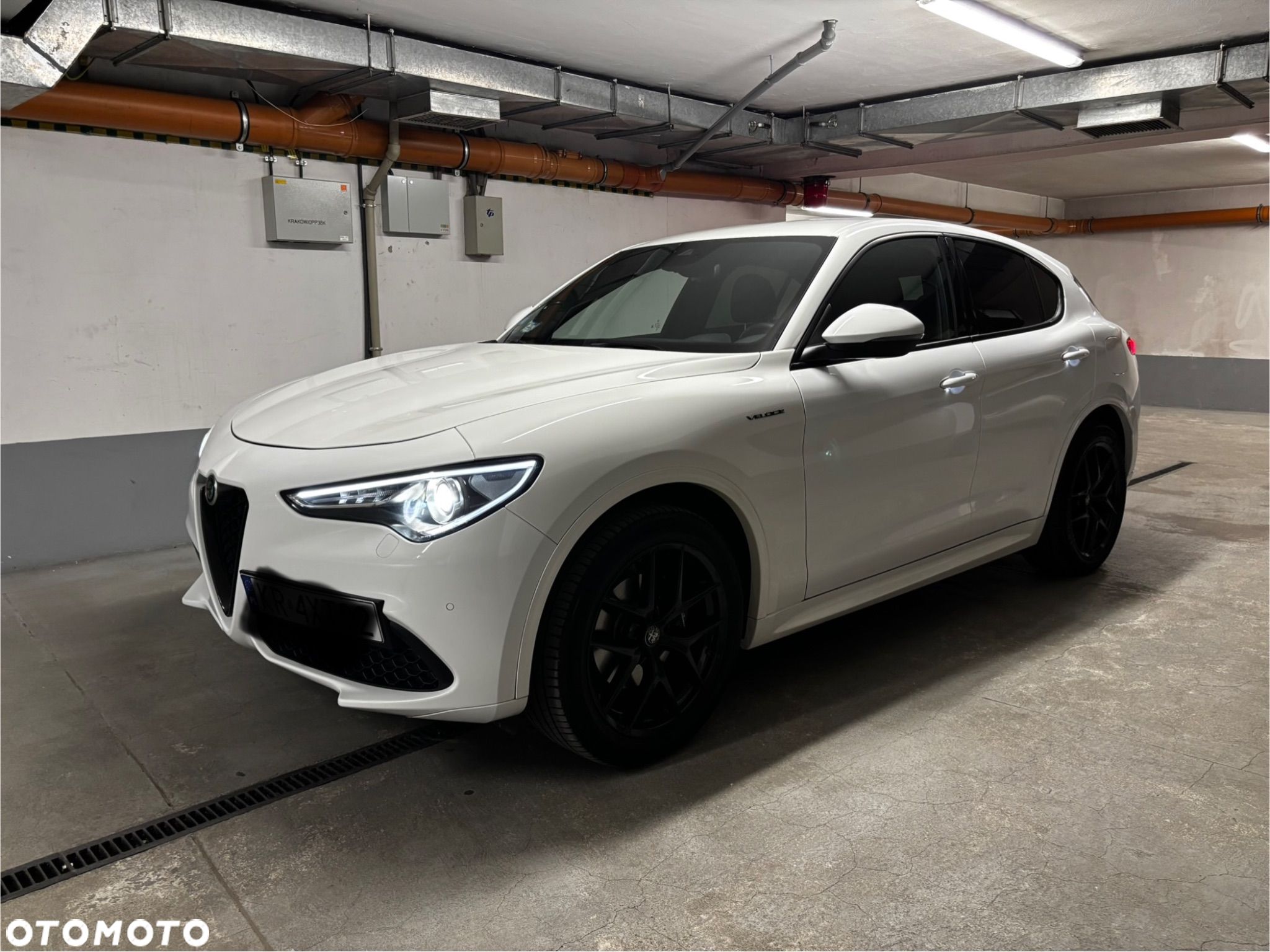 Alfa Romeo Stelvio 2.0 Turbo Veloce Q4 - 1