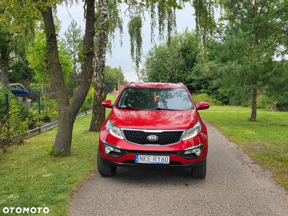 Kia Sportage - 35