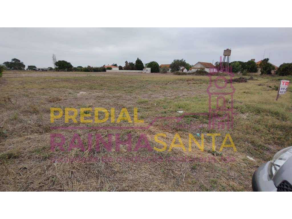 Terreno/ construção de moradias- Foros Salvaterra de Magos - Grande imagem: 3/6