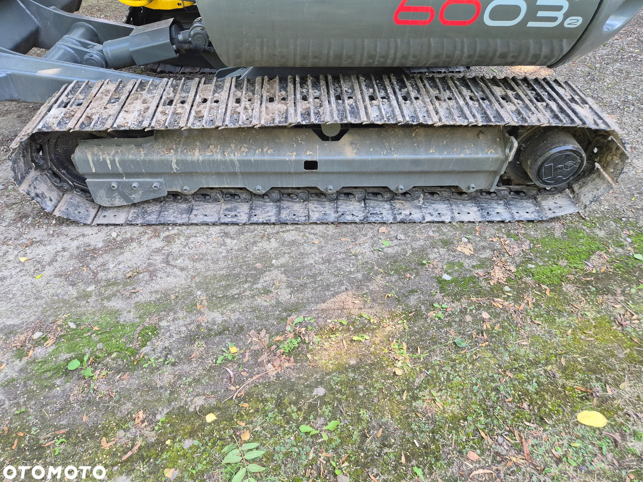 Wacker Neuson 6003 - 7