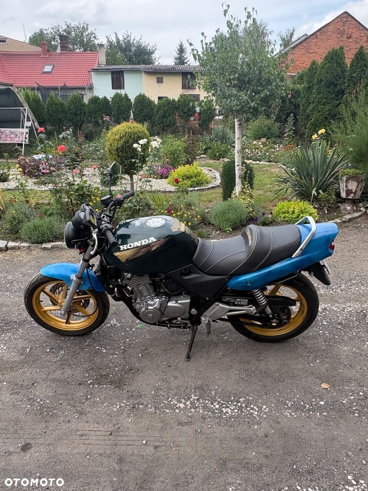 Suzuki SV - 8