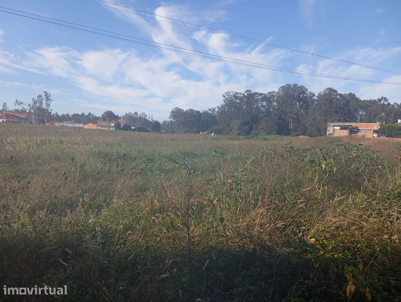 Terreno para construção em S. Miguel de Souto - Grande imagem: 5/6
