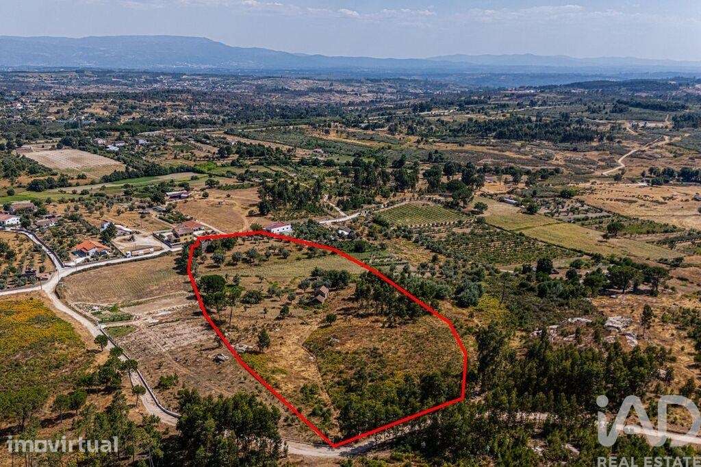 Quinta T4 em Moimenta de Maceira Dão e Lobelhe do Mato de 30000,00 m2 - Grande imagem: 2/22