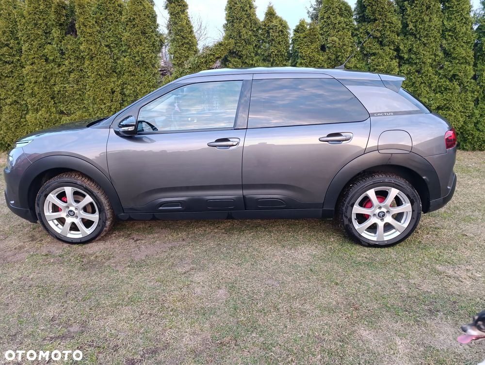 Citroën C4 Cactus - 4