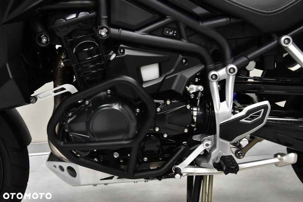 Triumph Tiger - 24