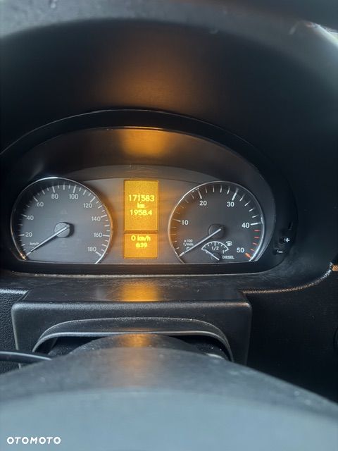 Mercedes-Benz 319 CDI - 7