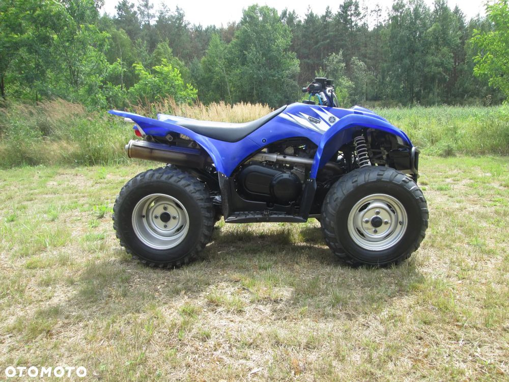Yamaha Wolverine - 11