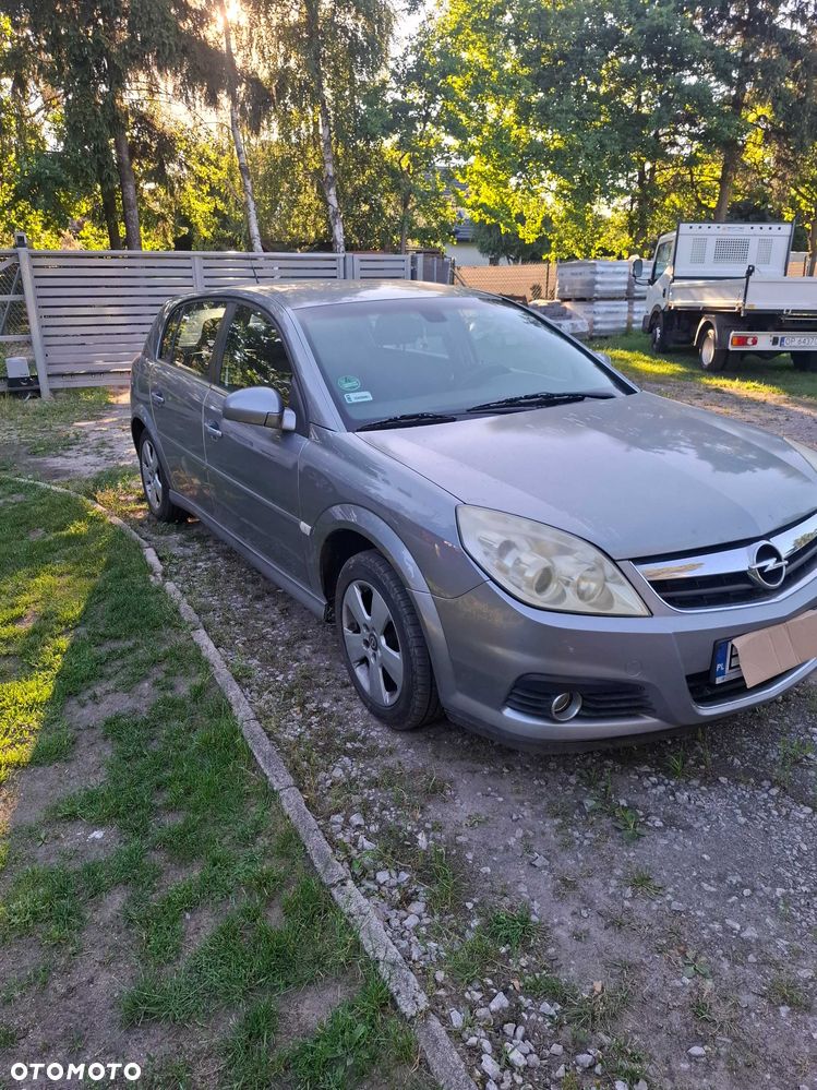 Opel Signum - 2
