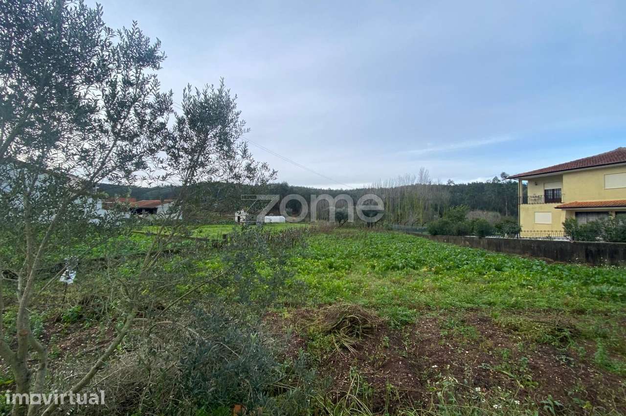 Terreno Urbanizável em Vale de Avim - Moita (Anadia) - Grande imagem: 5/15