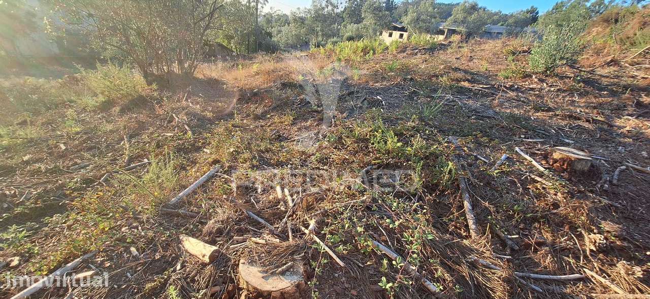 Terreno Rústico com 6.400 m² – Matas, Caranguejeira - Grande imagem: 2/39