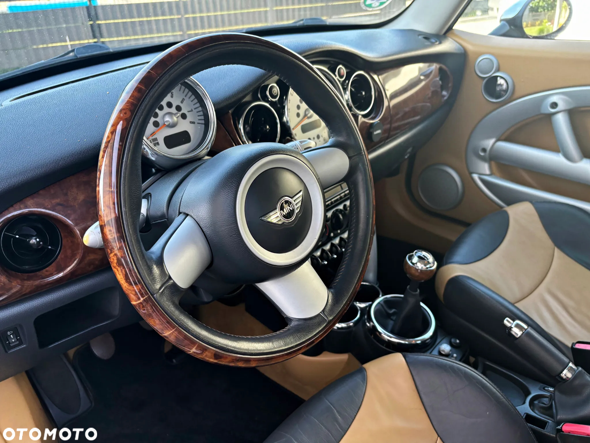 MINI Cooper pepper - 25