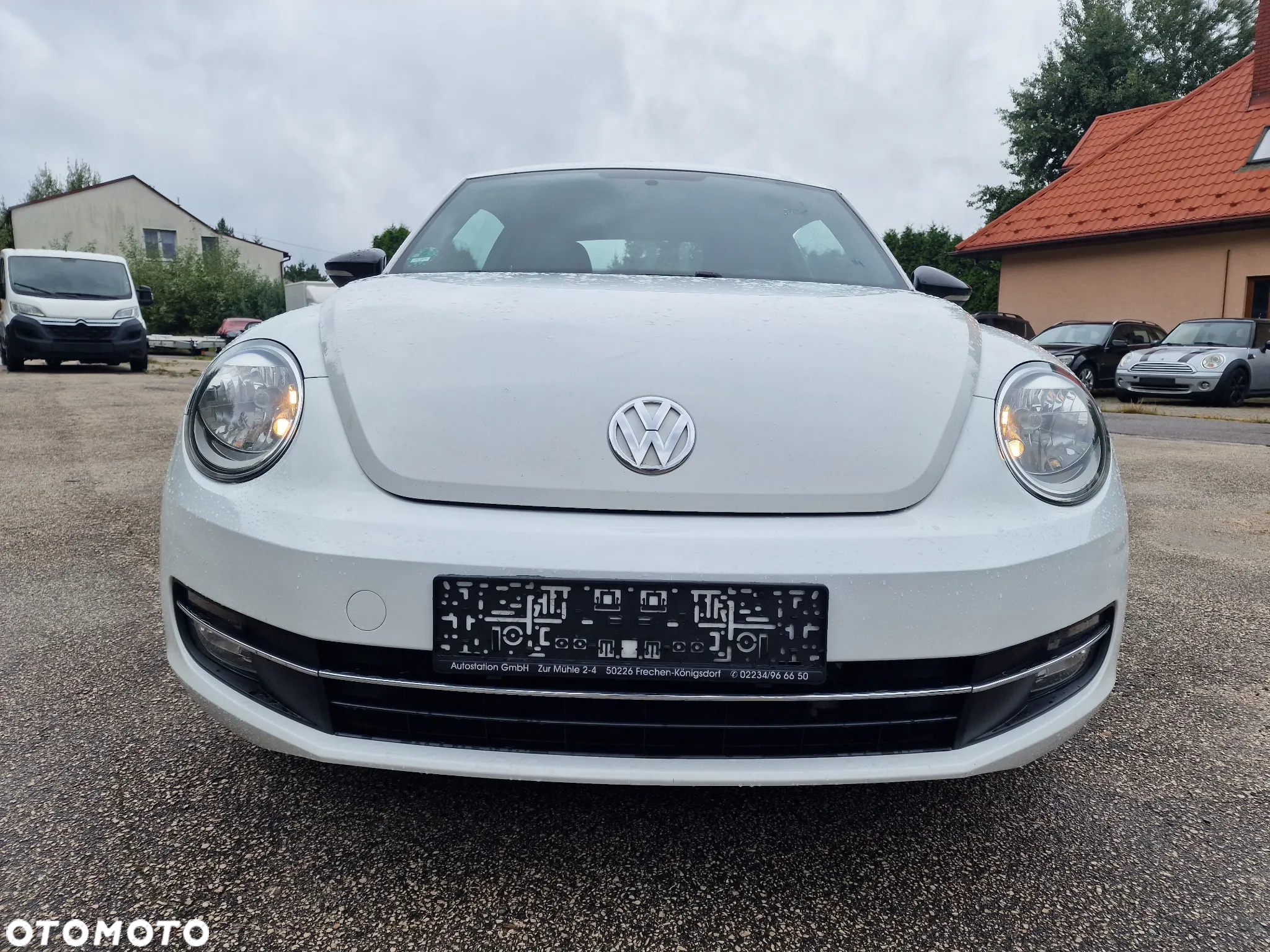 Volkswagen Beetle - 10