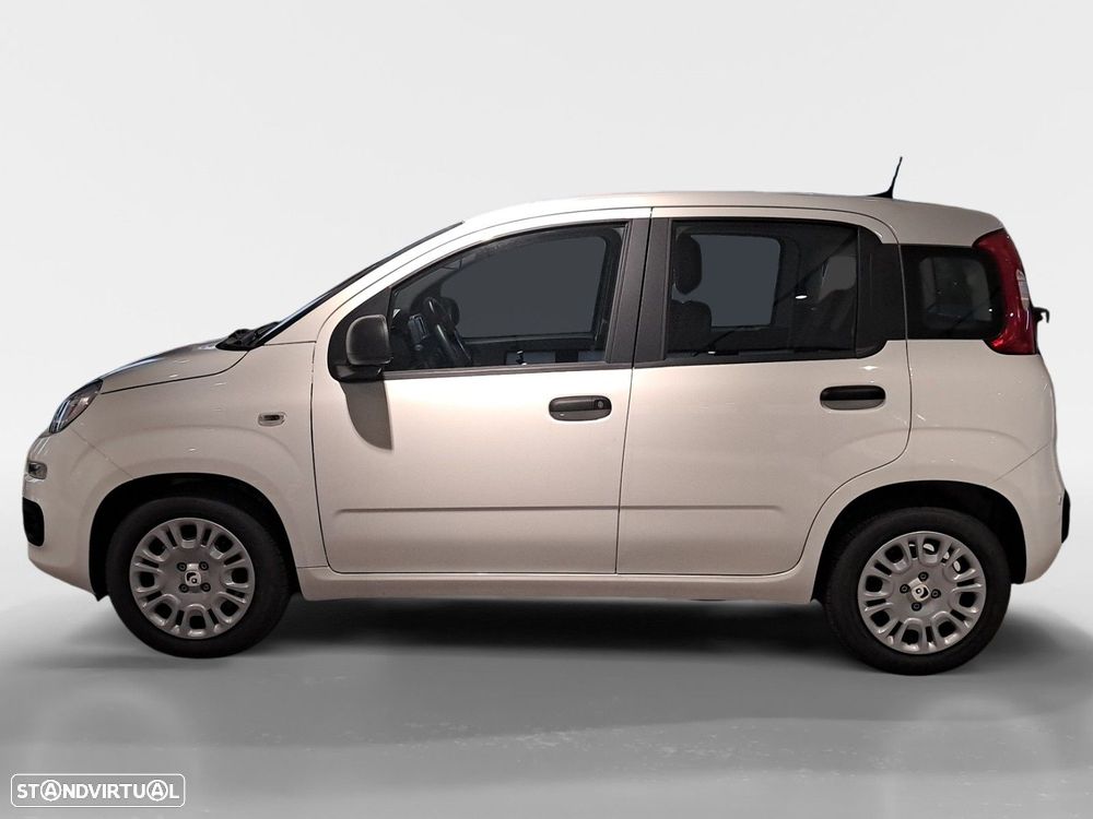 Fiat Panda - 2