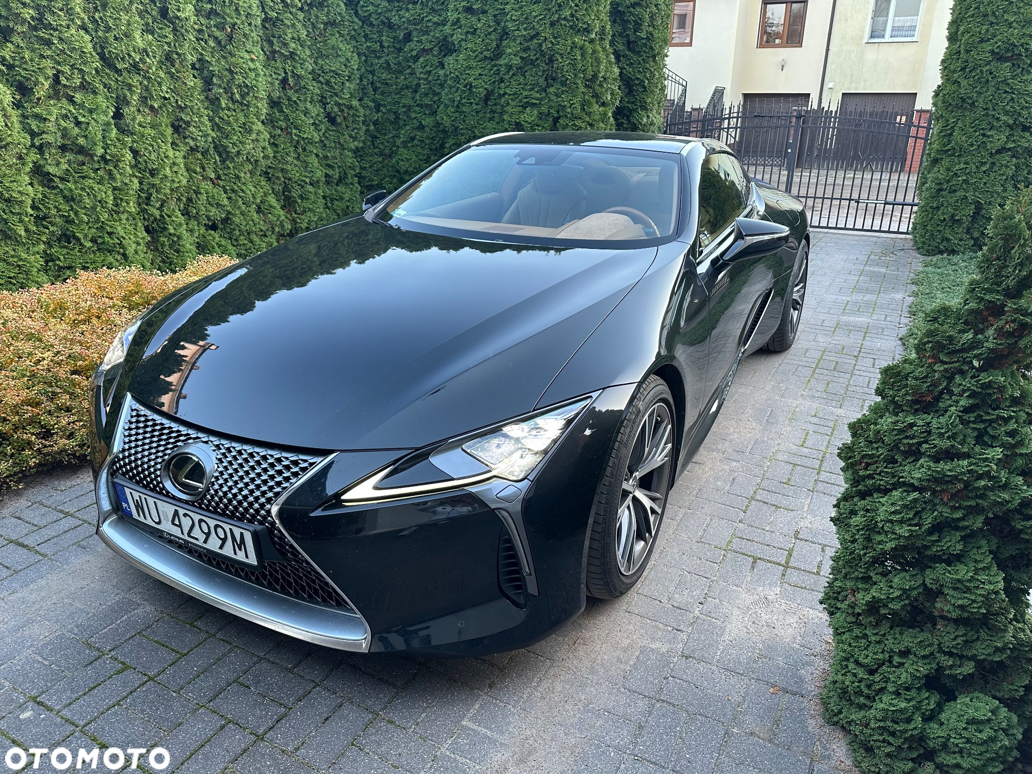 Lexus LC 500 Carbon - 3