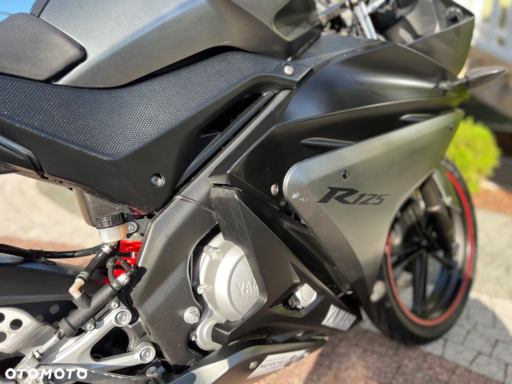 Yamaha YZF - 13