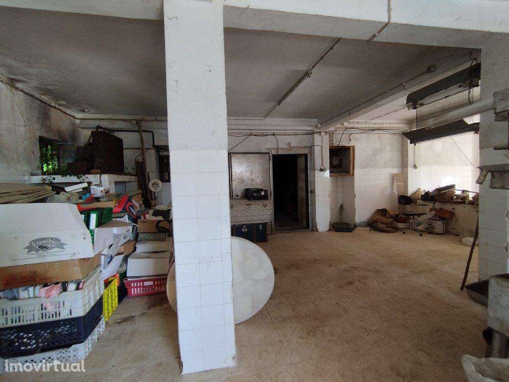 Prédio em Mação, Amêndoa - Grande imagem: 3/10