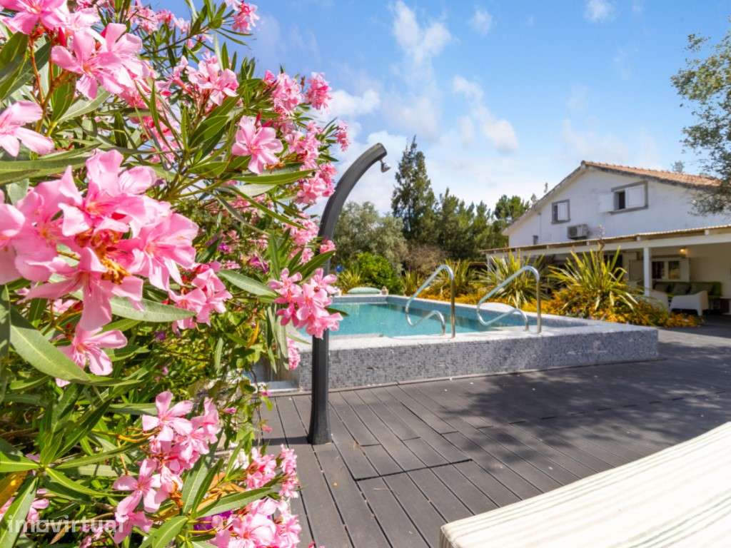 Villa, Piscina, 4.000m de terreno, entre a Muda e a Praia - Grande imagem: 2/40